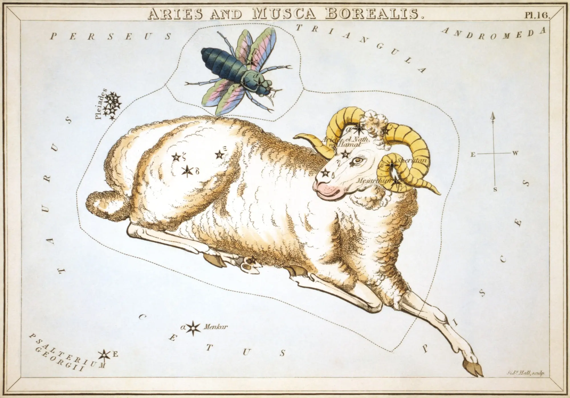 Гравюра сузір'я Овна зі «Дзеркала Уранії», 1825
