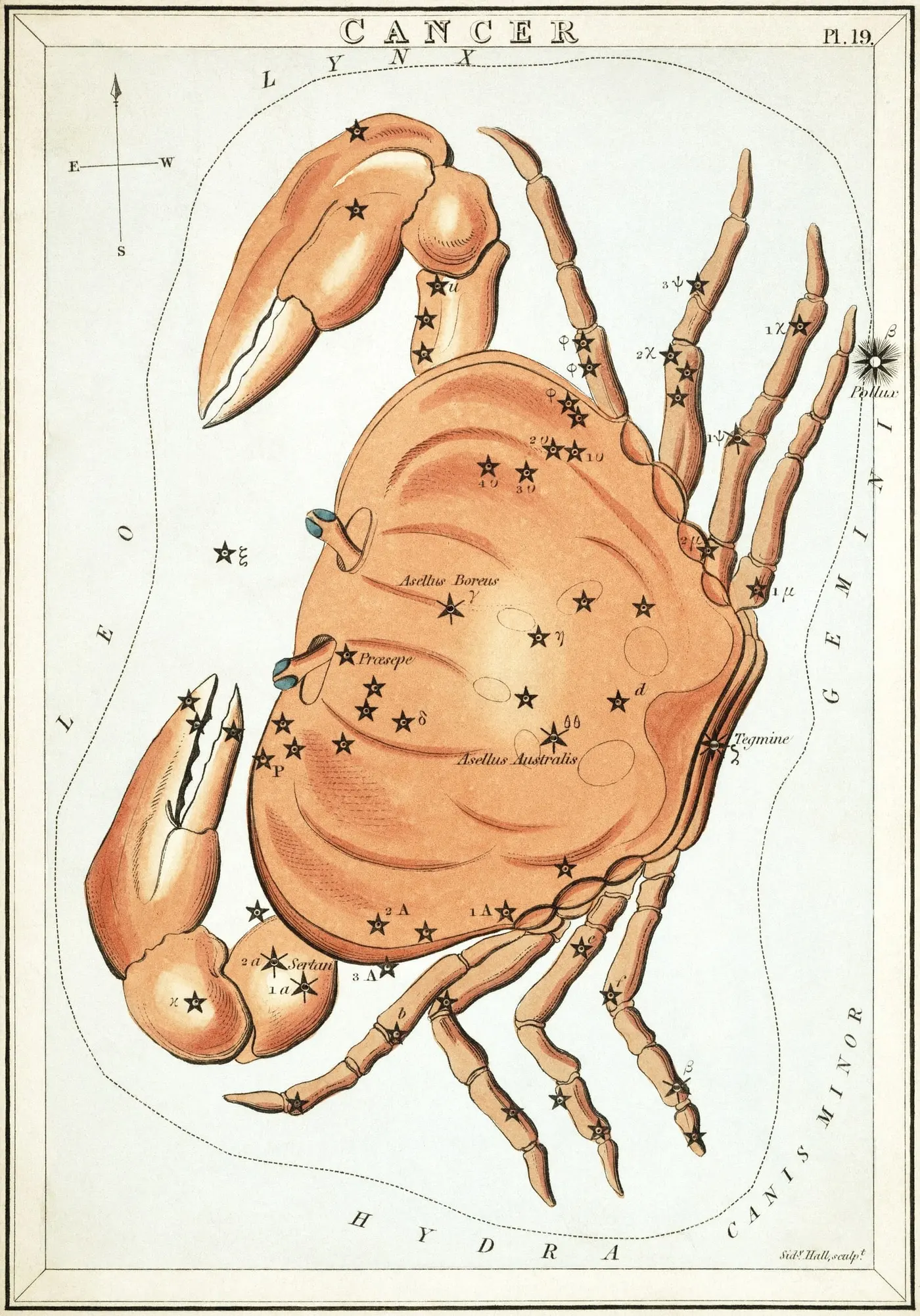 Гравюра сузір'я Рака зі «Дзеркала Уранії», 1825