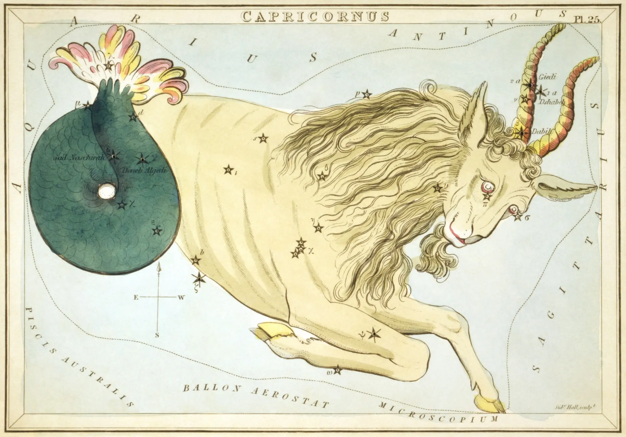 Гравюра сузір'я Козерога зі «Дзеркала Уранії», 1825