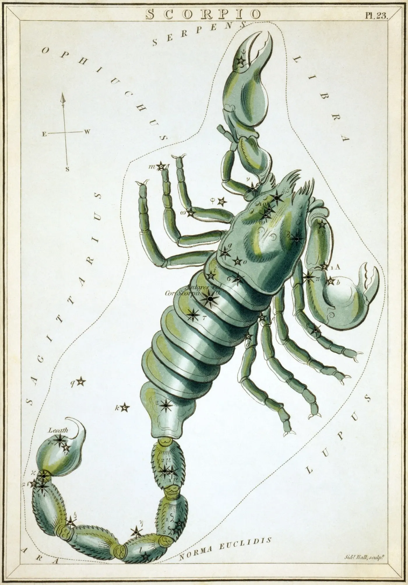 Гравюра сузір'я Скорпіона зі «Дзеркала Уранії», 1825